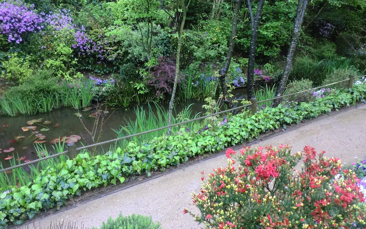 Irises, water plants and flowering shrubs beside a pond in the Chichu Garden